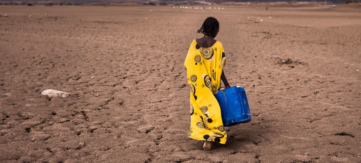 Sécheresse en Ethiopie : deux millions de personnes supplémentaires confrontées à l’insécurité alimentaire depuis septembre - PAM